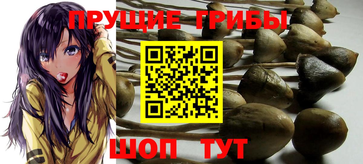 Партизанск  Галлюциногенные грибы ЛСД  Вход с VPN 