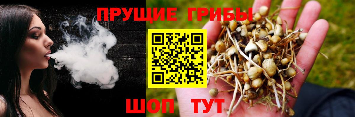 Галлюциногенные грибы прущие грибы Партизанск